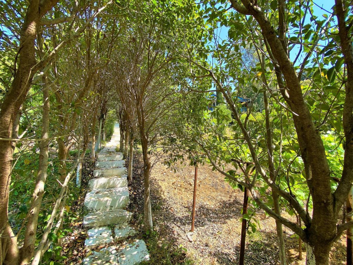 Ramo'S Cozy Beachside Haven With Panoramic Views - 1St Vlorë Exterior foto